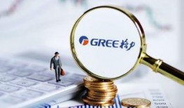 格力内部爆料网最新,揭秘格力电器最新动态与内部秘密