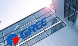 格力内部爆料图片最新,揭秘格力电器最新动态与未来战略